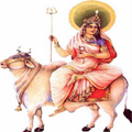 maa shailputri